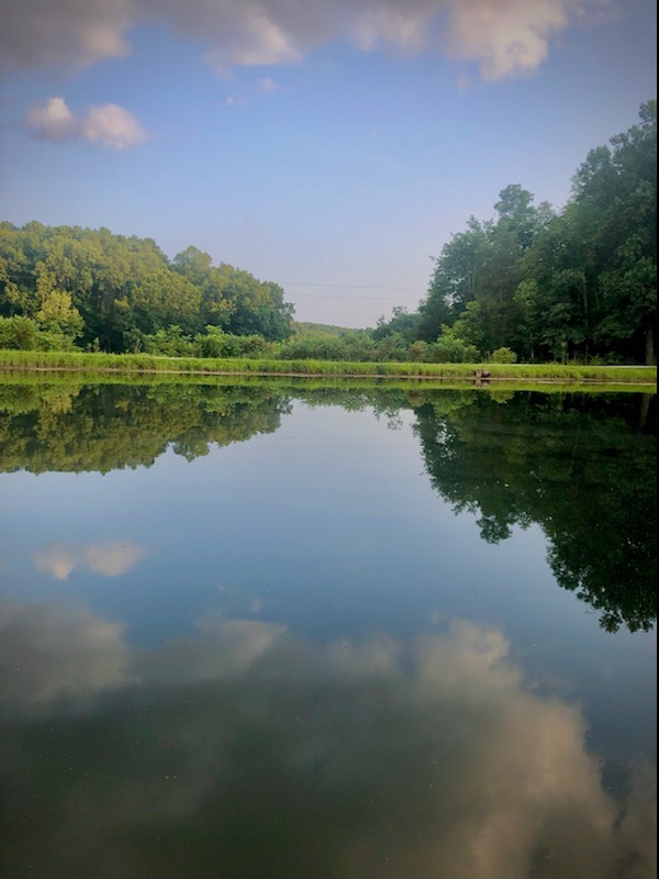 Camp_Ondessonk's tweet photo. Meanwhile back at Camp... #Camping #ondessonk https://t.co/4bogdvZS8m