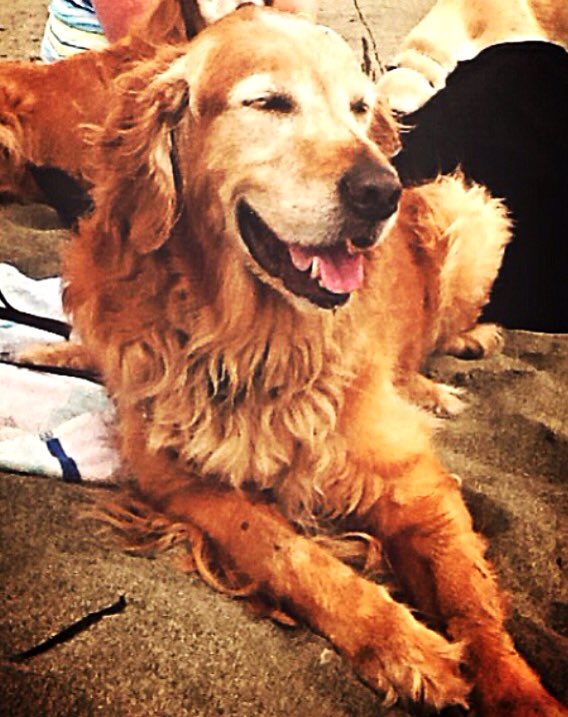 MabelMcCracken's tweet image. #TongueOutTuesday