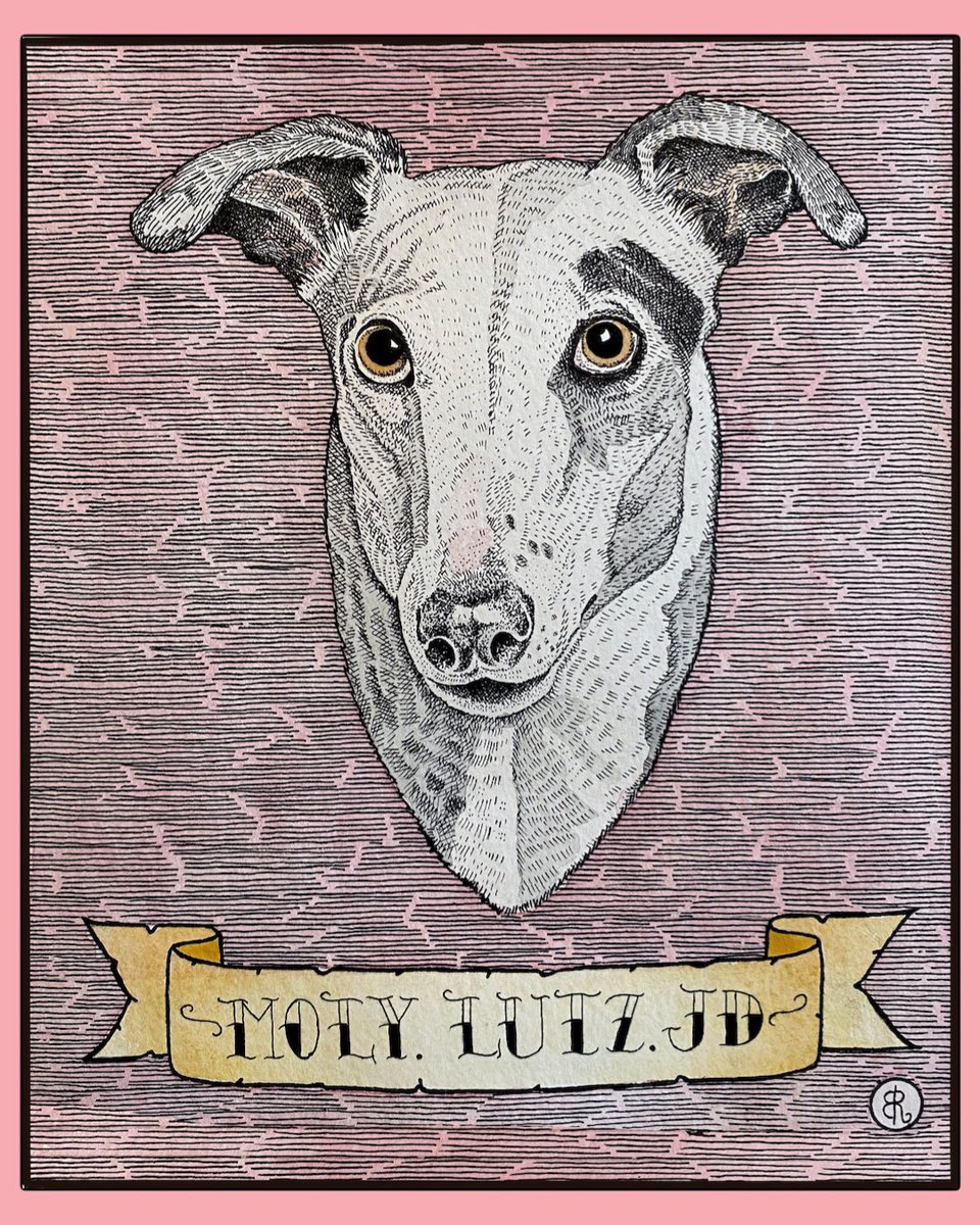 Hey what’s happening over at houseofhawks ? Well here is a photo of A recent commission I had the pleasure of working on for a really lovely client ❤️❤️as you know I love my sighthounds so this was a blast to ink up 🥰🥰