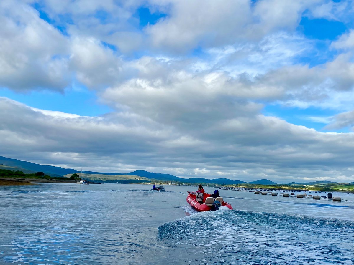 DeeBantry's tweet photo. Nothing like a bit of fresh sea air after work!
Great trip, thank you!
@Bantry @BantryBoatHire @wildatlanticway https://t.co/zDmkg0zKe5