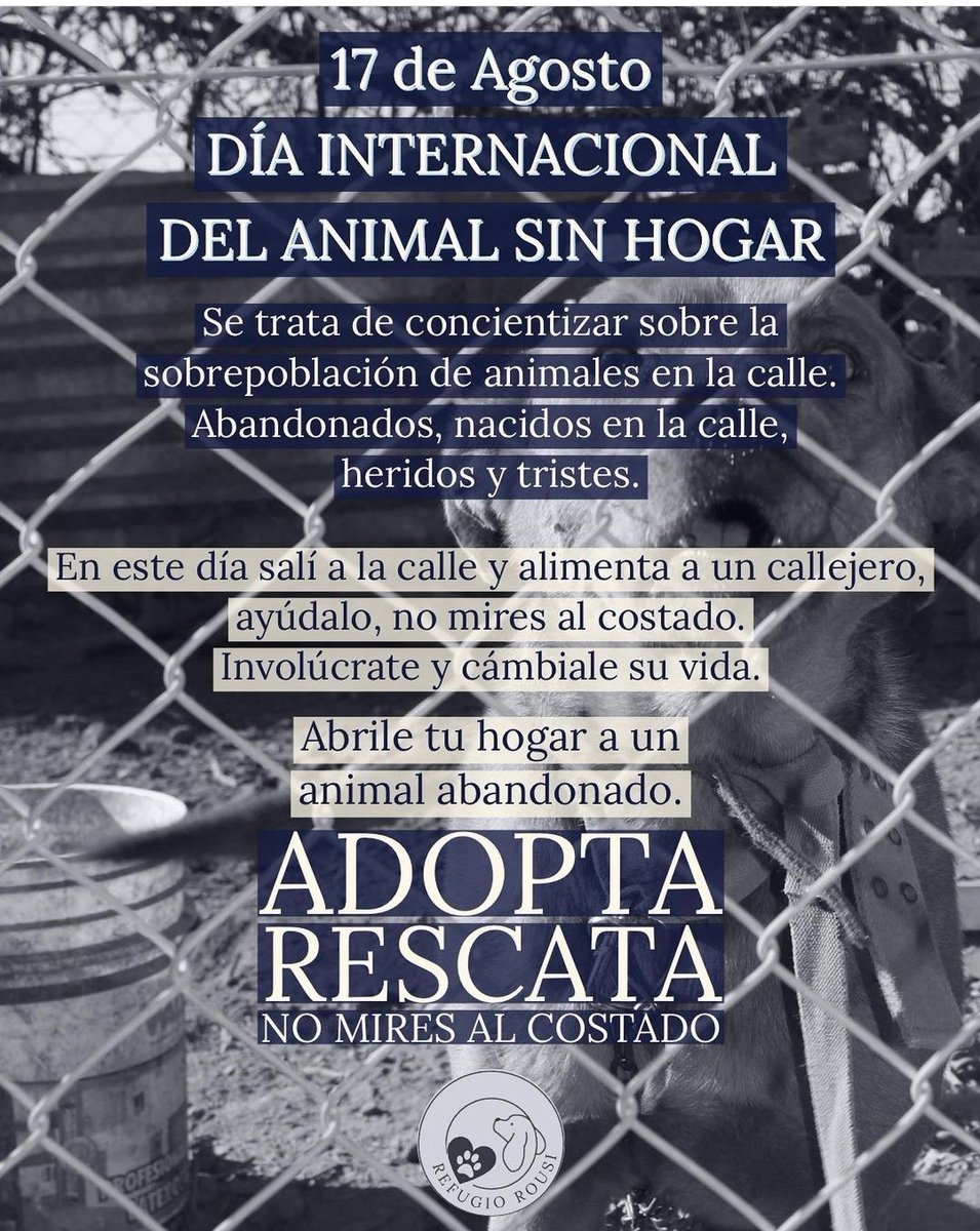 refugiorousi's tweet photo. 17 de agosto!
DIA INTERNACIONAL DEL ANIMAL SIN HOGAR https://t.co/cYk4CMxtWS