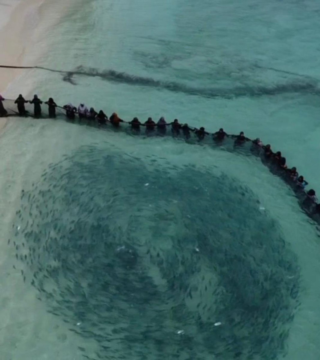 aliramyz's tweet image. Kids and adults of Th.Buruni (Maldives) joyously catching a massive school of Tuna which amazingly came to the beach!

“And He gave you from all you asked of Him. And if you should count the favor of Allah, you could not enumerate them.” [Quran 14:34]