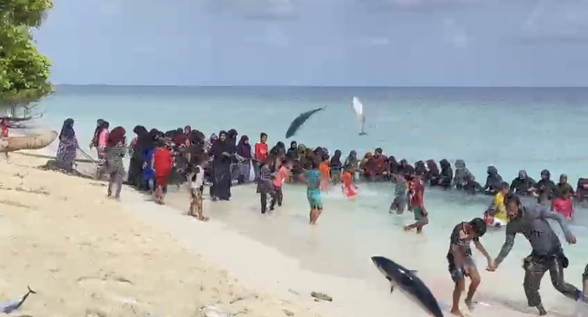 aliramyz's tweet image. Kids and adults of Th.Buruni (Maldives) joyously catching a massive school of Tuna which amazingly came to the beach!

“And He gave you from all you asked of Him. And if you should count the favor of Allah, you could not enumerate them.” [Quran 14:34]