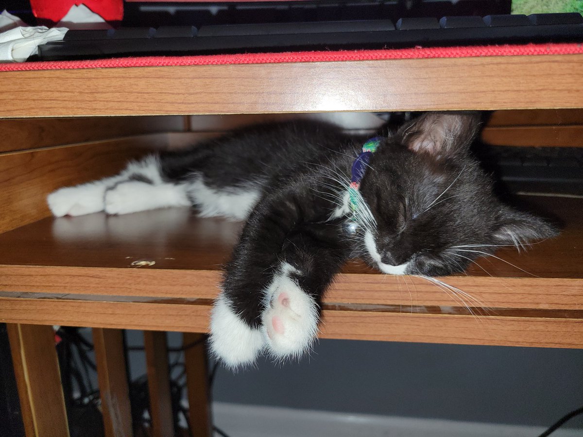 LTC_Dave tweet media