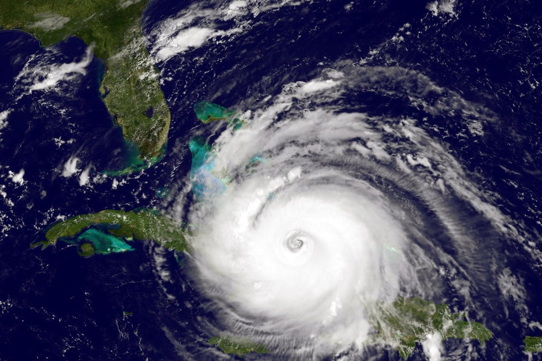 Florida BRACE tweet media