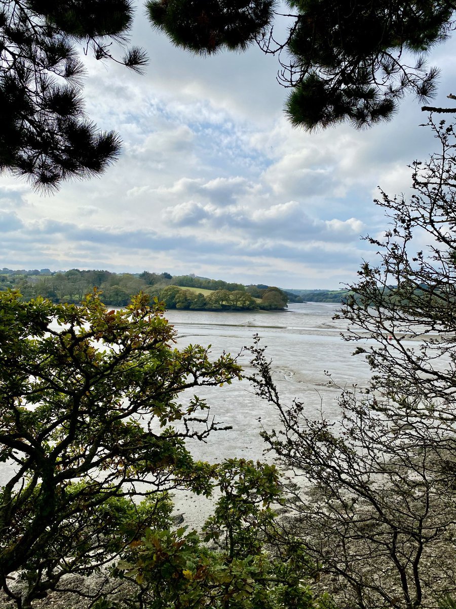 TruroHour's tweet photo. This week I’ve had friends visit from far away. They found Truro ‘quite lovely, with friendly people’ &amp; ‘so many independent places to choose from’ I’ve loved rediscovering it through their eyes #lovetruro #trurostories #trurohour https://t.co/J43XkDGQZK