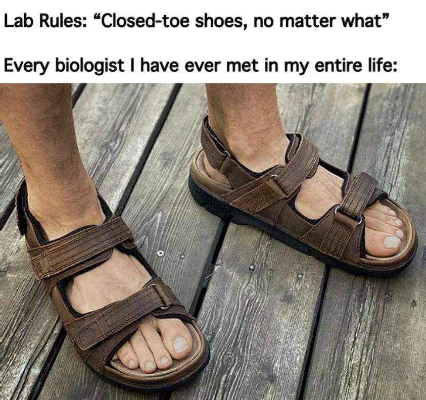 KlutheScience's tweet photo. You'd think I don't own anything besides Birks. https://t.co/5pfly4kYjq