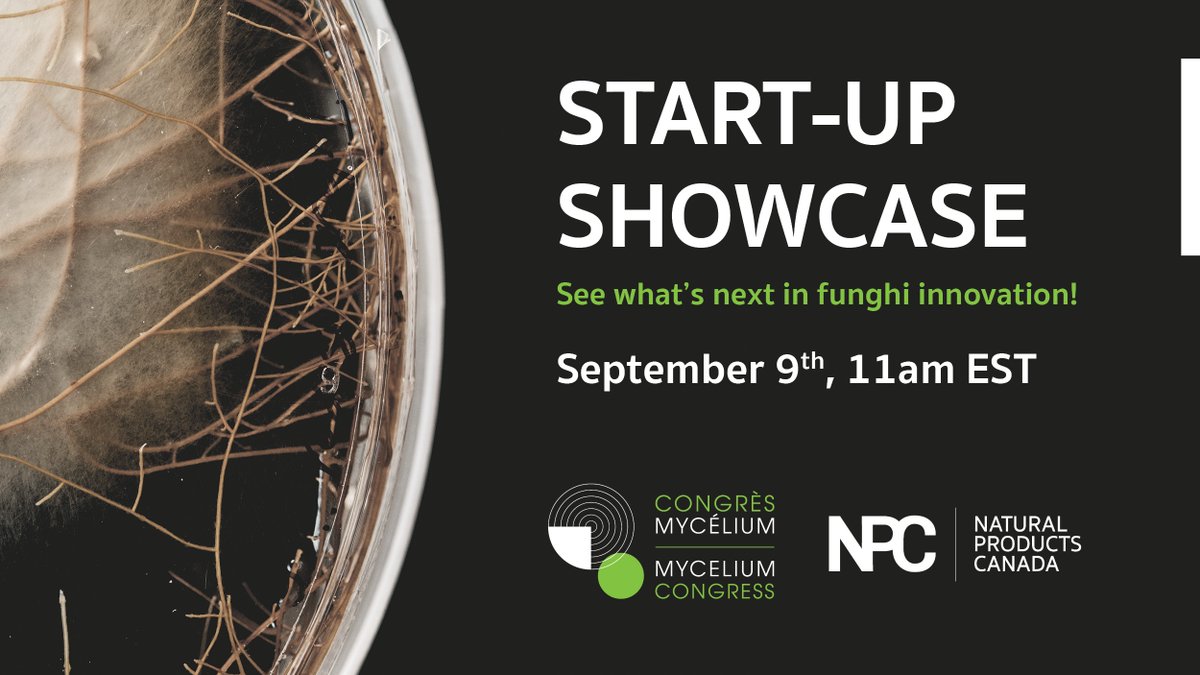 From #sustainable textiles to #mentalhealth Mushrooms and the entire world of funghi are opening a whole new world of potential! See what Canadian companies are doing with #mycotechnologies
bit.ly/3CVxKGE <a href="/Biopterre/">Biopterre bioproduit</a> <a href="/INAF_Qc/">INAF</a> <a href="/ForesightCAC/">Foresight Canada 🌱</a>