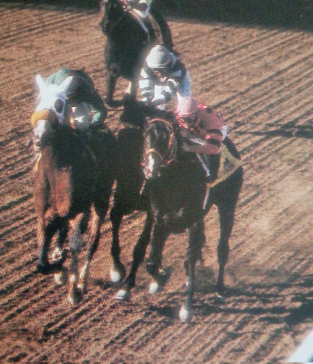 HORSERACING1002's tweet photo. GATE DANCER. SLEW O GOLD WILD AGAIN
memories Breeders Cup Classic #GateDancer #SlewOGold #WildAgain https://t.co/CCAaSCxPfc