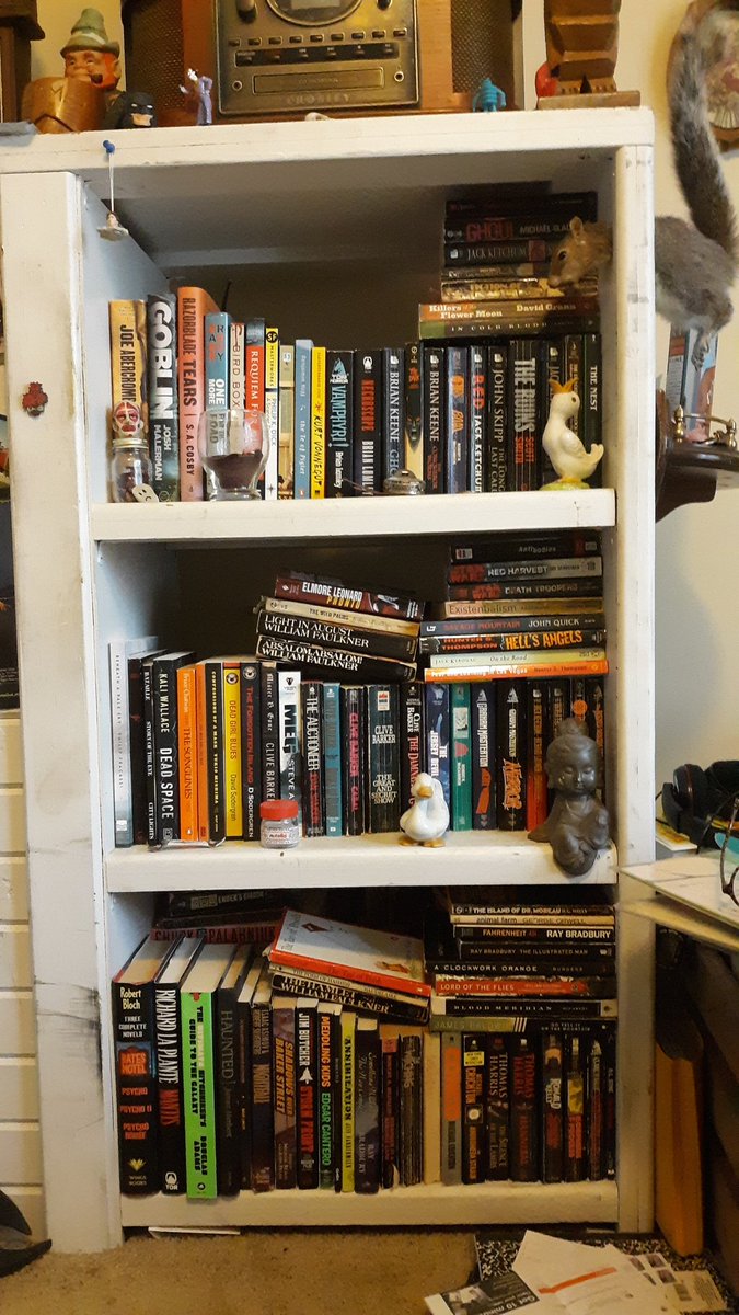 Derek Luttrell tweet media