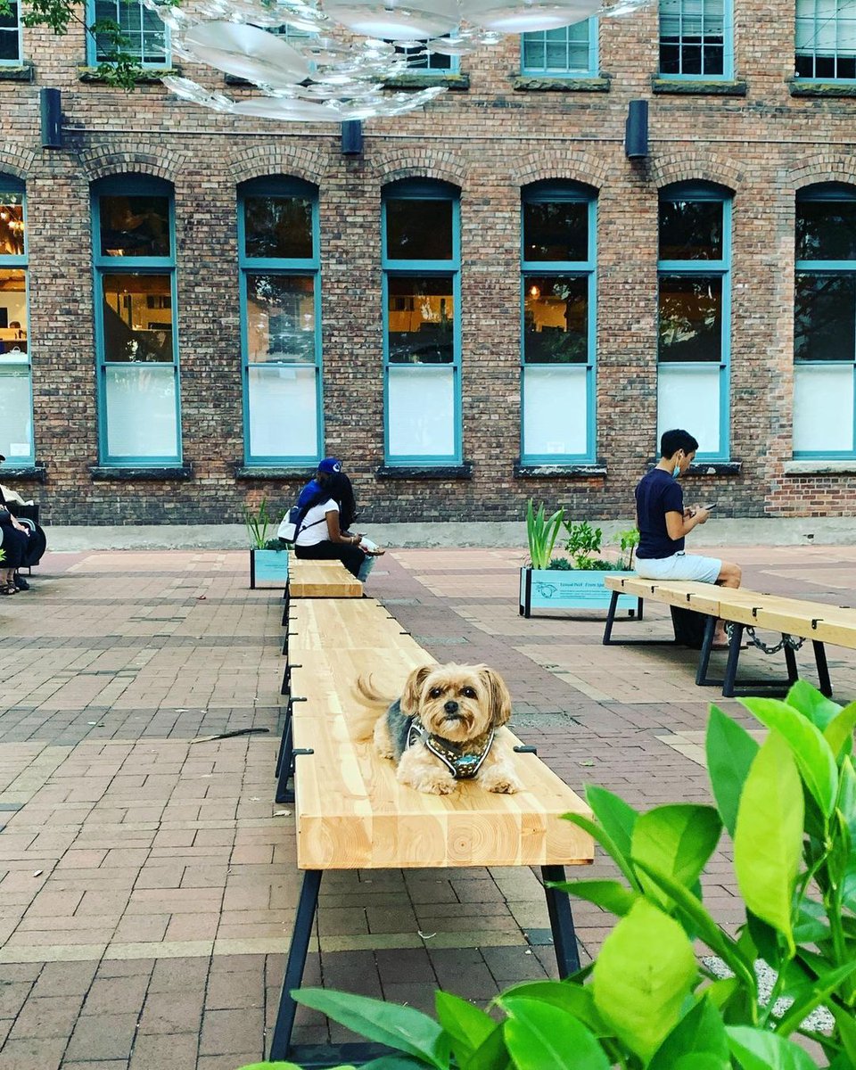 Yaletown BIA tweet media