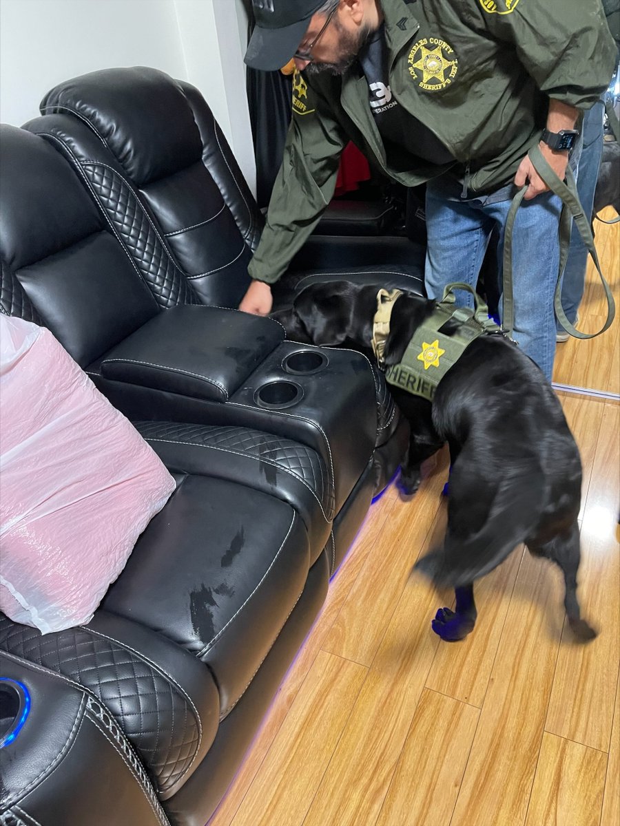 LASDCyber's tweet photo. #LASD Fraud &amp; Cyber Crimes detectives investigating a large scale credit card fraud scheme, conducted a search warrant this morning in Los Angeles. #K9Satoshi assisted with the search. Multiple digital devices were located, and the primary suspect. https://t.co/jxqYAUkjT7