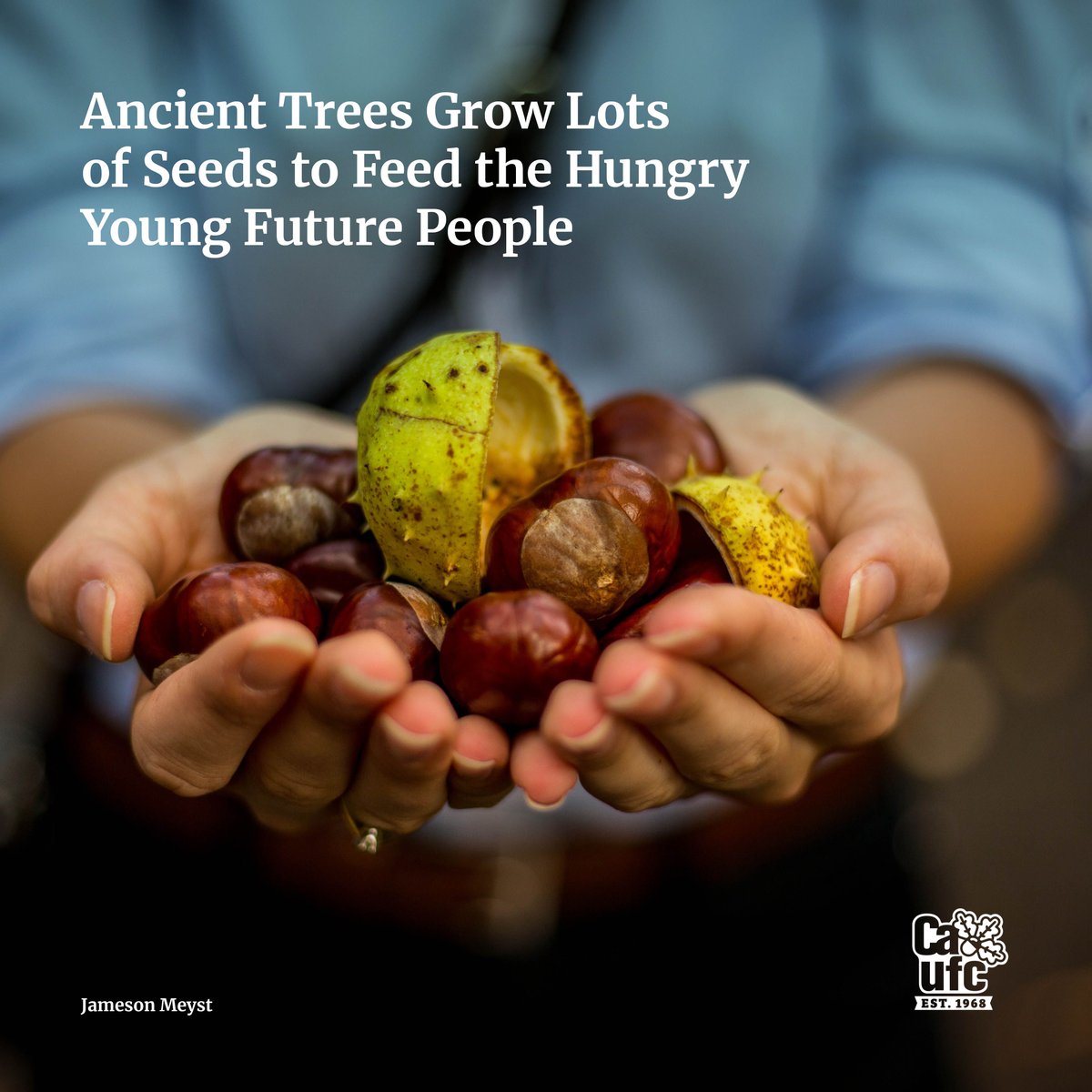 Entered our haiku promotion? 2 weeks left to enter!
Theme: Birds, bugs, bats, bees…What else relies on trees?
Rules:
-Limit 3 entries/person
-"Keep it clean”
-Enter @ catree.us/haiku21
-We can use your haiku in future promotions
#treesareessential #weneedtrees #trees4all