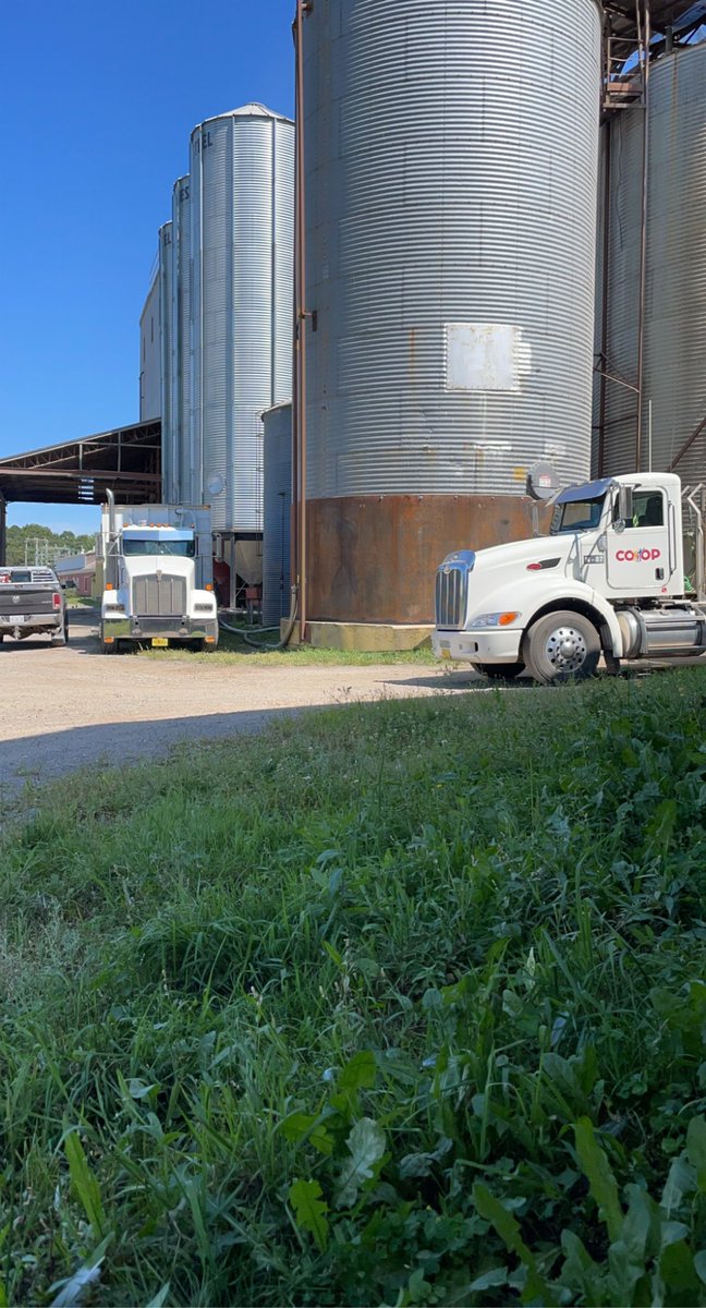 Dre Merks tweet media