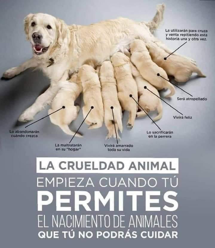 Stphns's tweet photo. Tomen nota irresponsables https://t.co/zyurGUmXYd