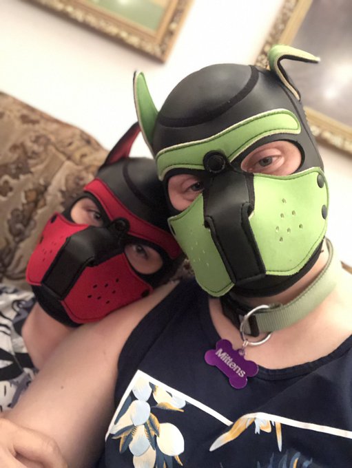 My sweetie ??? #pup #puppy #holidays #woof #bark #green #red https://t.co/fTlcVtZ7Ad