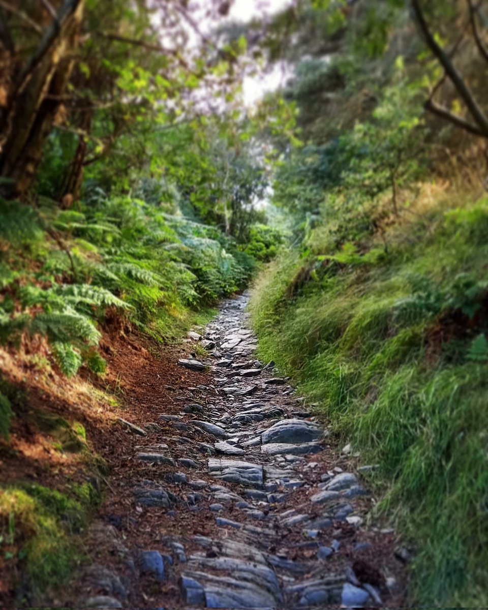 Manx_James's tweet photo. Hooyl shin sheese voish harrish y keyll dys y hie ec my voir ayns #Ballure son cappan dy hey fastyr jiu. Ren mee geearee feddyn tholan ayns keyll, agh cha ren traa erbee ain. Shen yn aght.
#gaelg https://t.co/ZWx6rHcGyo