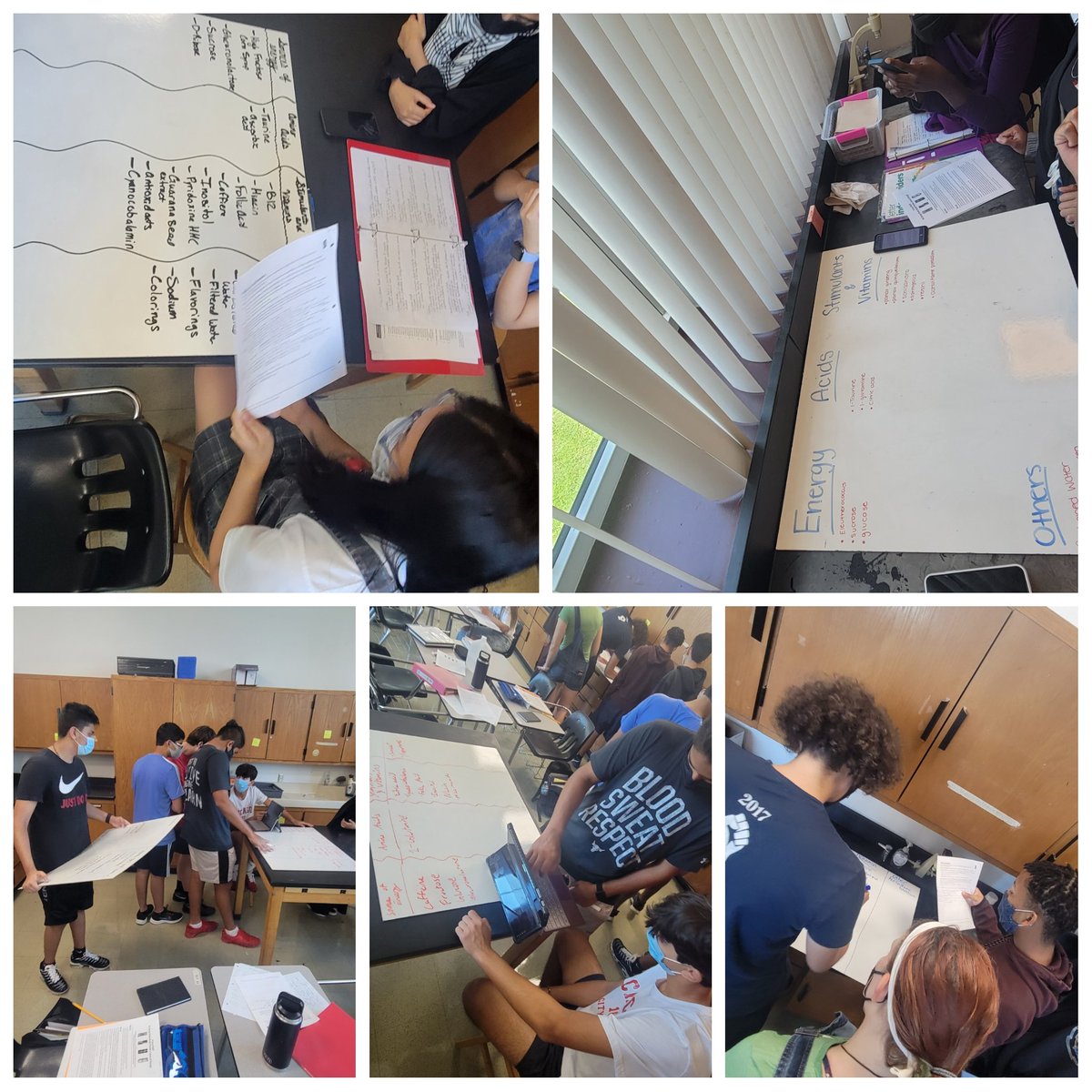 teach_me24's tweet image. Today my juniors continued their study of basic biochem by categorizing the ingredients in energy drinks. Do they really do what they say they do? #tkscience #tkbio #HHSIB
