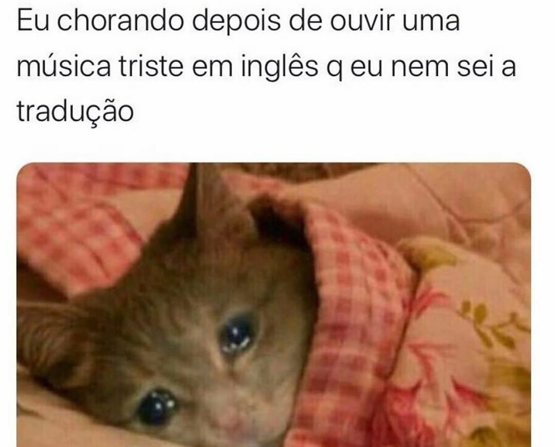 Kovverapp's tweet photo. "Às vezes no silêncio da noite…”
Quem nunca? 🤣🤣🤣
KOVVER, VOCÊ A MELHOR PARTE DA MÚSICA
#meme #kovver #kovverapp #backingtrack #playalong #multicanais #cover #musicacover https://t.co/9liGDpPjmR
