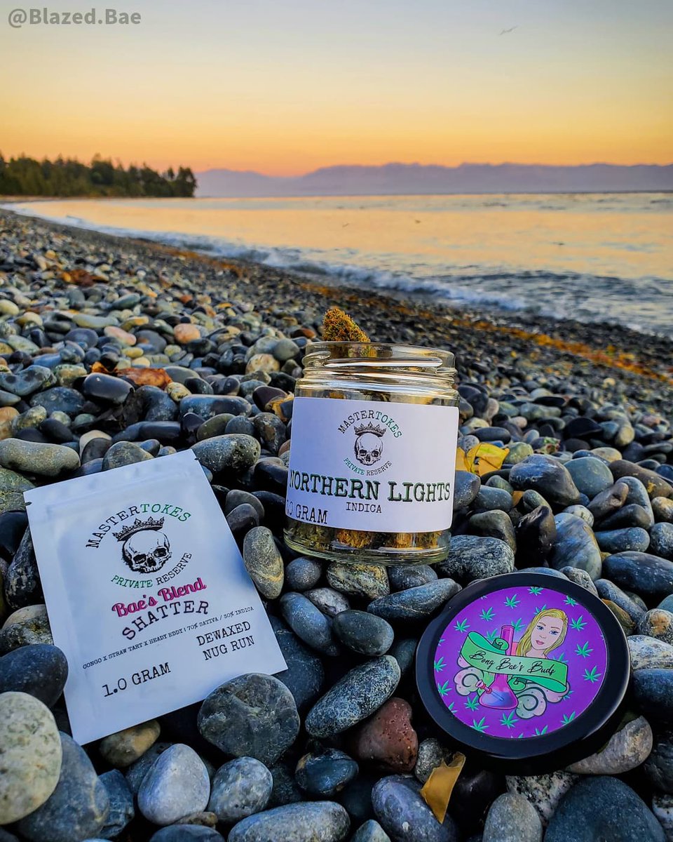 Bong_Bae_'s tweet photo. Sunset sesh w Baes Blend & Baes Buds π₯°π
ππ¨ @mastertokes
#sunsetsessions #bcbud #craftcannabis #bongbaesbuds #bakedinbc https://t.co/D71NJK0k45