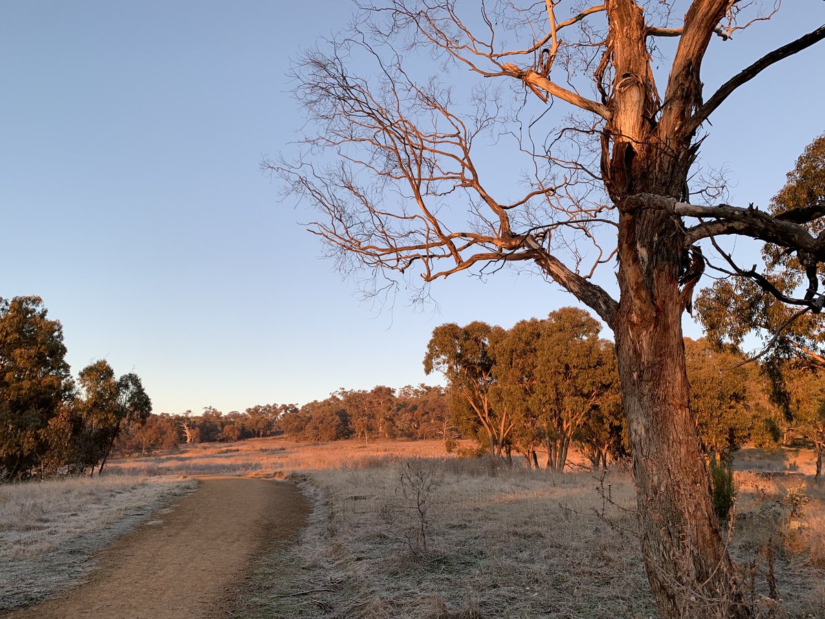 IA_Mitchell's tweet photo. Colours of sunrise on a frosty #Canberra morning, oblivious to the global #COVID19 pandemic. https://t.co/6U16GwbVsx