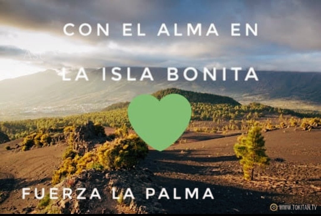 FedericoGrillo4's tweet photo. Ánimo palmeros !! #IFElPaso https://t.co/LphfBiiNNu
