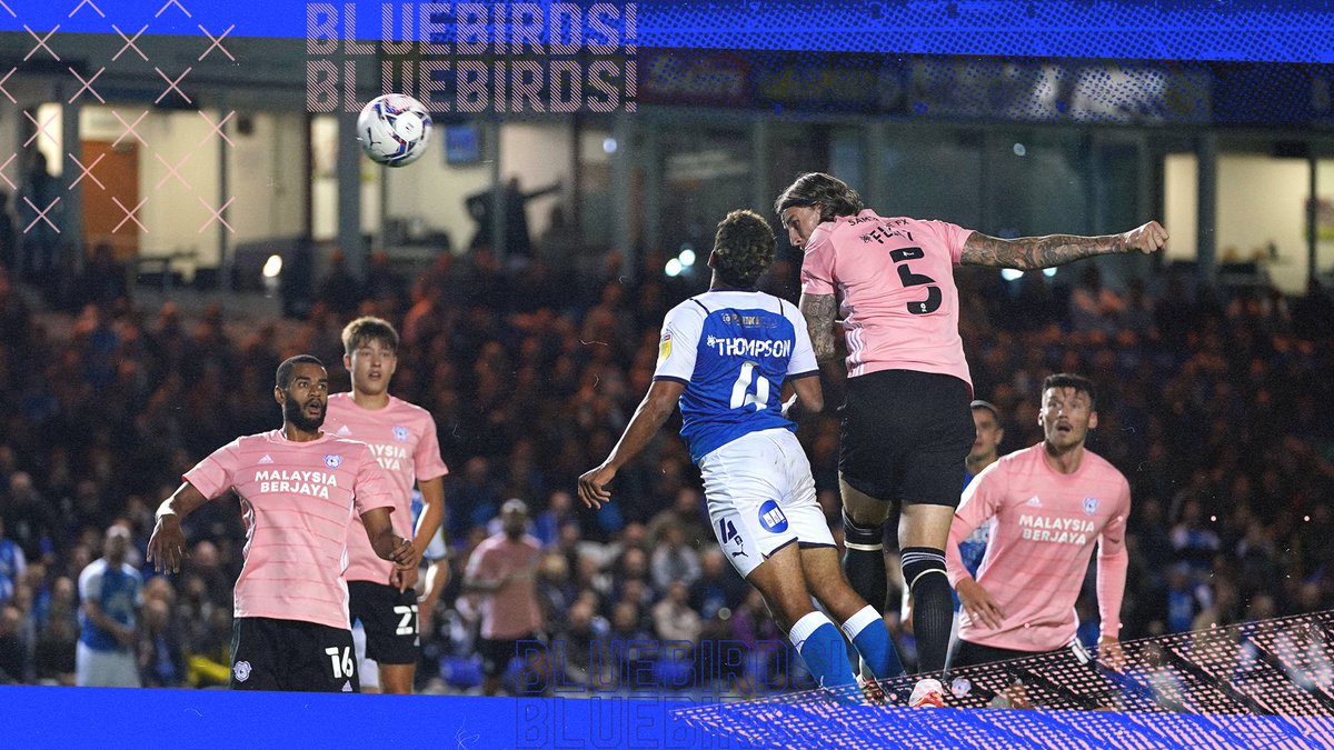 CardiffCityFC's tweet photo. 🤩 @AFlint4 💙

#CityAsOne https://t.co/RXwzx0jmaj