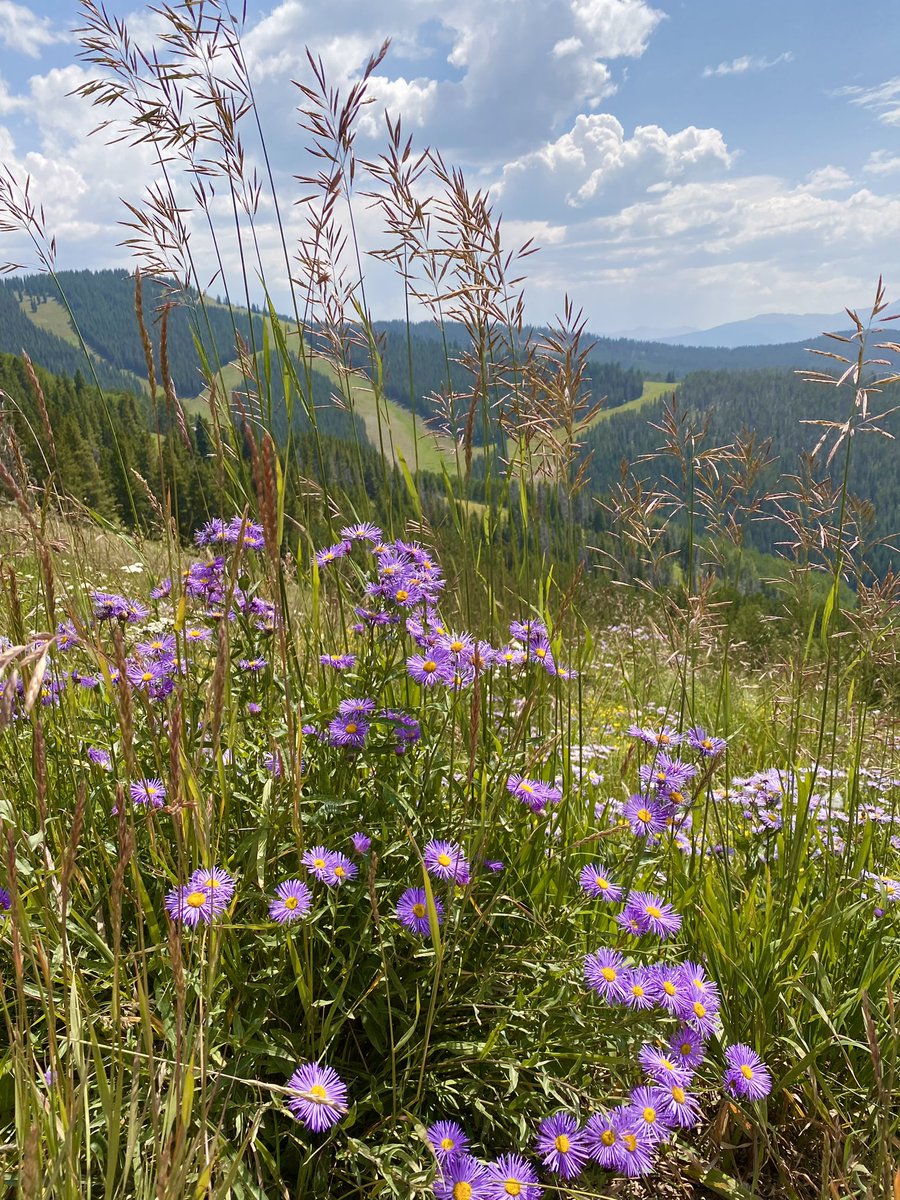 Thank you so much <a href="/ClayCockerell/">Clay Cockerell</a> for a fabulous conference in Vail last week. I must admit my favorite lecture was the hiking lecture by Dr. James Allred. @PracticalSymp