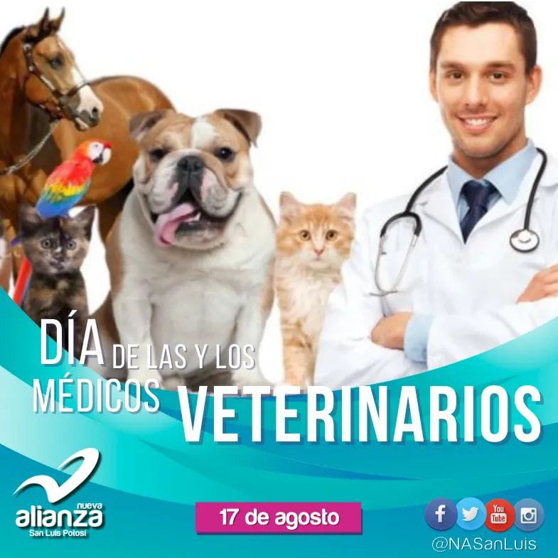 NASanLuis's tweet photo. El 17 de agosto se celebra en México el Día del Médico Veterinario Zootecnista, fecha en la que se fundó la primera escuela veterinaria en nuestro país y en el continente americano, en 1853. 

#NASanLuis
#EfeméridesNASLP
#DíaDelMVZ2021
#NuevaAlianzaSanLuisPotosí https://t.co/Y2YlKzDXly