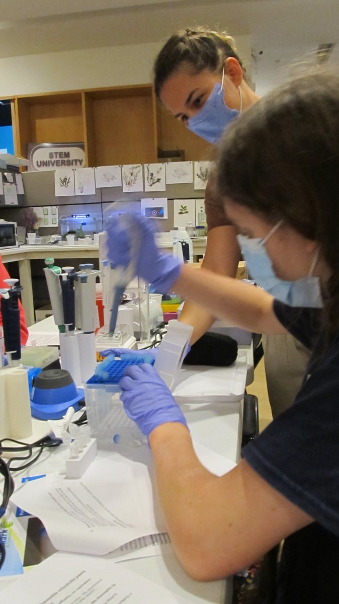 bilgeMolEcol's tweet photo. I may have been the one who taught classes there, but surely I left #PVNet feeling inspired and excited for the endless possibilities for making DIY biology and democratizing biotechnology. Thank you Ted, Doug & our amazing students! I will come back to teach again :) https://t.co/IqsvSGx9cA