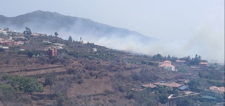 lalagunaahora's tweet photo. El Gobierno de Canarias declara el nivel 2 del INFOCA y asume la dirección del incendio de La Palma https://t.co/ady41Yli8F https://t.co/ibBJE6shyq