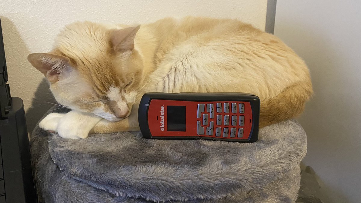 pikarde's tweet photo. @Globalstar The peace of mind you have with Globalstar 🐱 🛰 https://t.co/UW9hqbnRyc