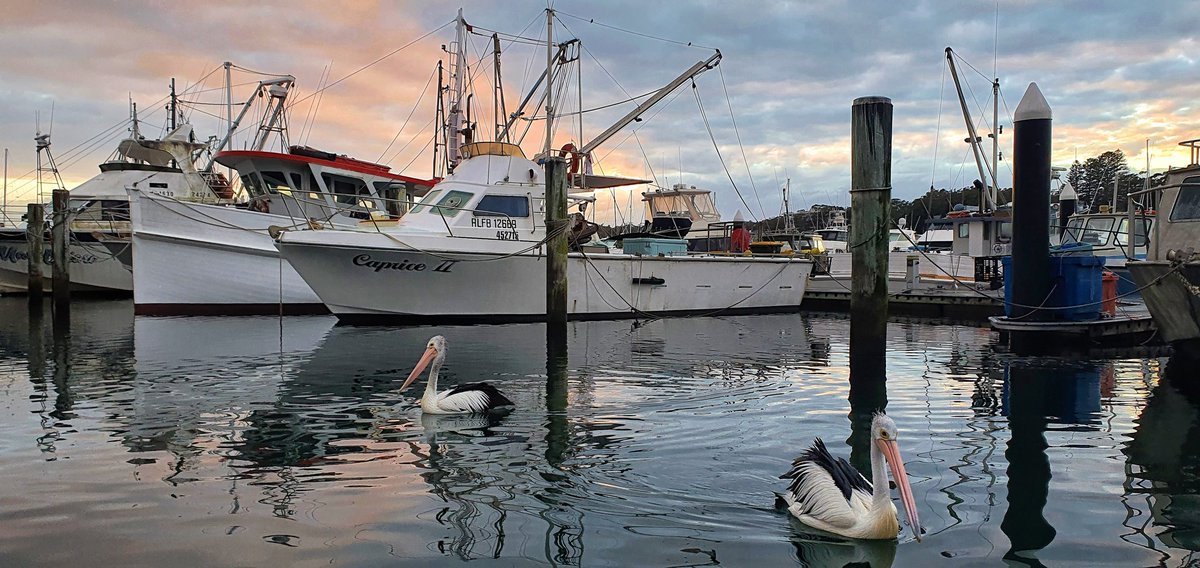 Good morning Tweeps  😍😍😍 brought g ht to you through showers at Nelson Bay Marina... #lockdownwalks