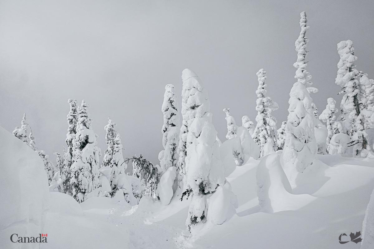 RDEECanada's tweet image. 📸 Quel cliché vous inspire le plus?
@LeCorridor_CAN
Crédits : @refusehibernate
