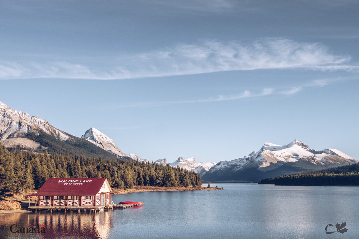 RDEECanada's tweet image. 📸 Quel cliché vous inspire le plus?
@LeCorridor_CAN
Crédits : @refusehibernate