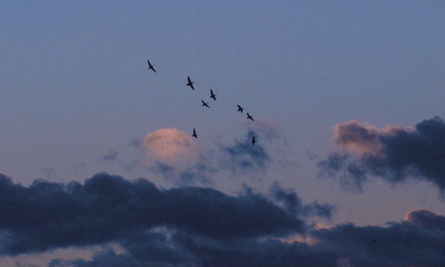 samanthacavet's tweet photo. I love it when the sky: https://t.co/nwKrR4A7hp