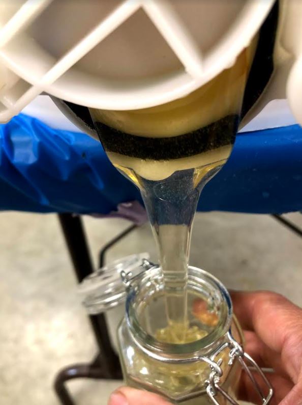 TrueNorth804's tweet image. Through the cooperative partnership b/w #TrueNorth804 and Wagner Farm known as Be@theFarm, student farmers plan &amp;amp; care for sensory gardens and community supported agriculture fields. They help with livestock chores and new this year, care for a colony of bees and harvest honey!🐝