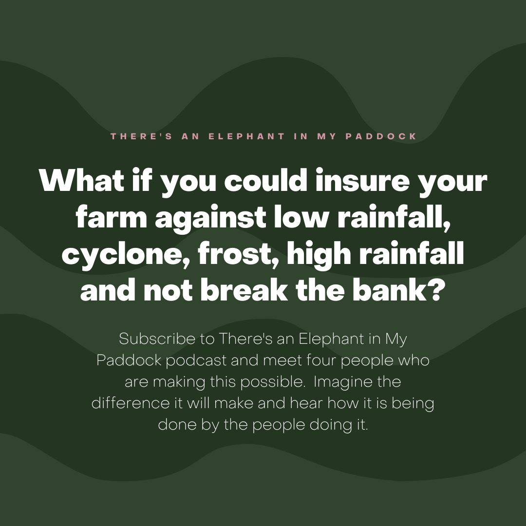 There's An Elephant In My Paddock (@elephantpaddock) on Twitter photo Ever considered insuring your grazing grass, the harvest, or against a light on wet season? Maybe you should...find out more in the podcast Ever considered insuring your grazing grass, the harvest, or against a light on wet season? Maybe you should...find out more in the podcast