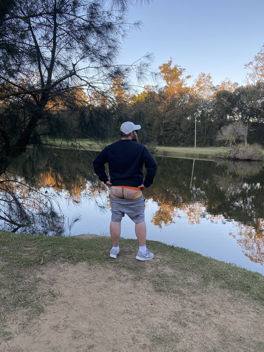 Troyboy tweet media