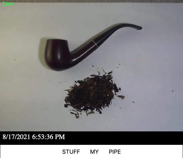 collective twenty eight tweet media