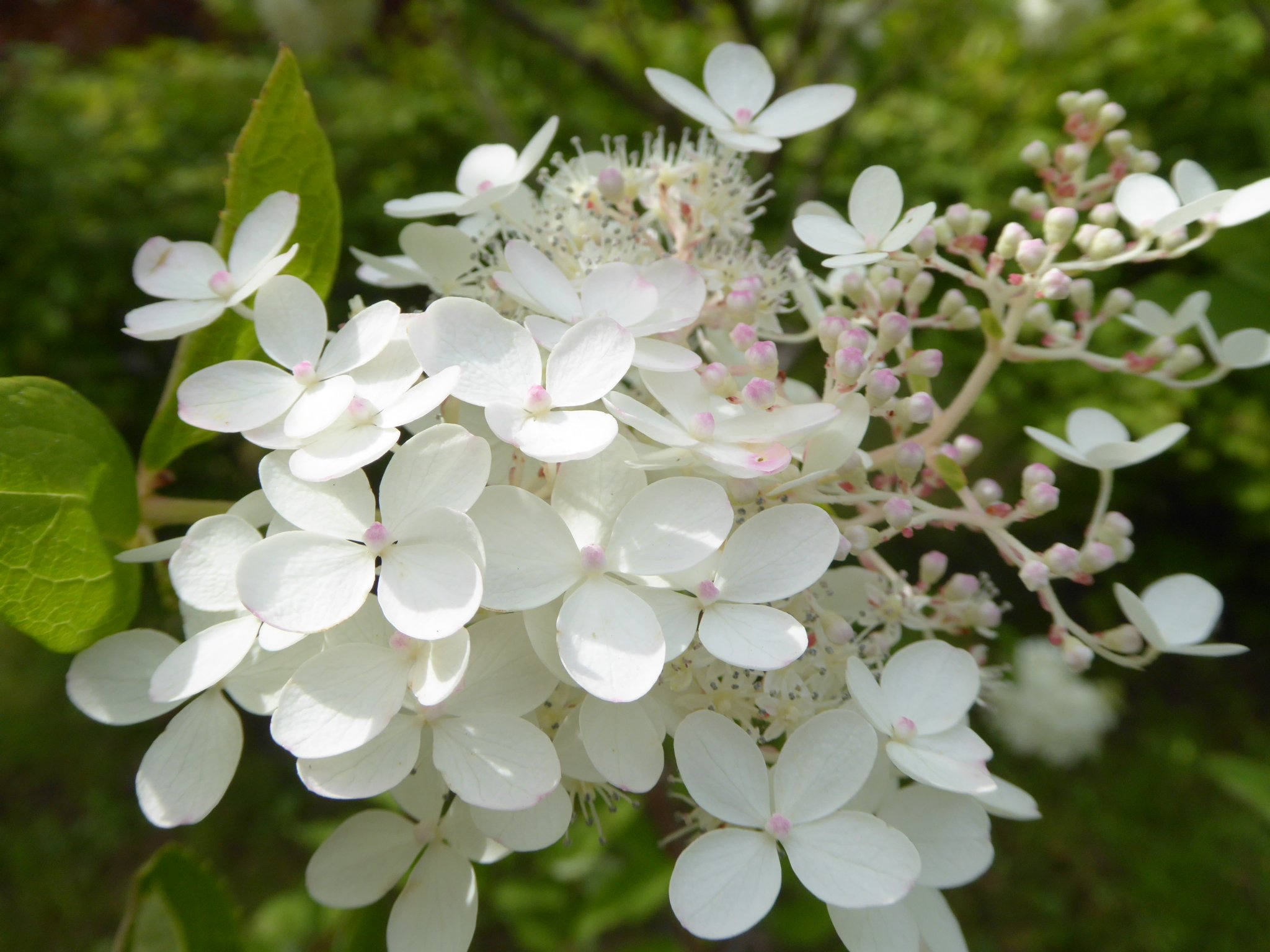 ミナヅキ Twitter Search Twitter