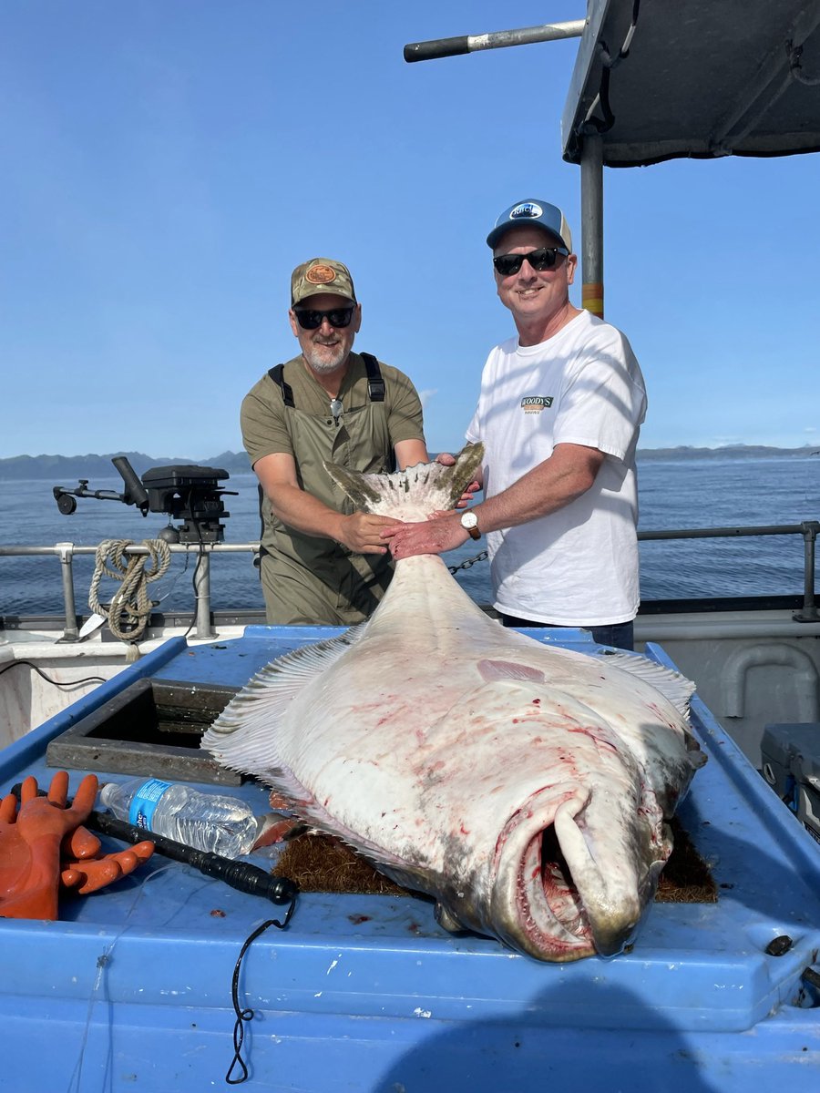 DonedigginCraig's tweet photo. Wrapped up our Alaska trip with a couple days on Kodiak Island. Loaded up on halibut and saw some huge bears. #trophytuesday @AverageHunter https://t.co/23w2ya4ww2