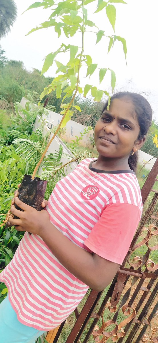 Plants distribution at rural areas and social awareness program to people..
#plantmoretreea
#saveplants 
#planttrees @YadhumadiR @GretaThunberg @ECOWARRIORSS @PlantCampaign @COP26 @FightForNature @CevikusHB @NamugerwaLeah @AaravSeth_ @rbrawji @GoGreenRestCA @GreenIndiaDrive