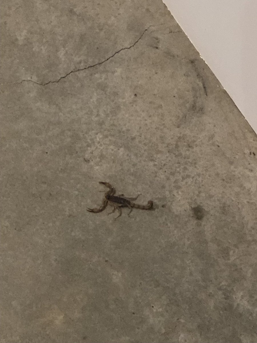 Ellen Barger tweet media