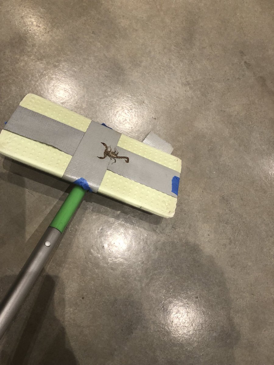 Ellen Barger tweet media