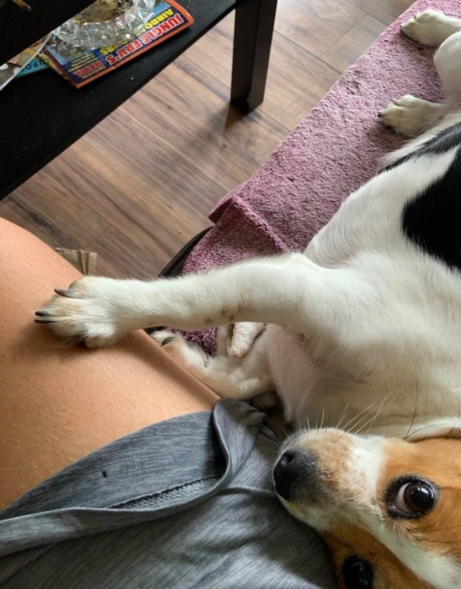 Sadece Kilolu olgun şişman yüzü yuvarlak tombul ful aktif adamlar yazsın bana bekliyorum.? Bakireyim ücretli degilim.