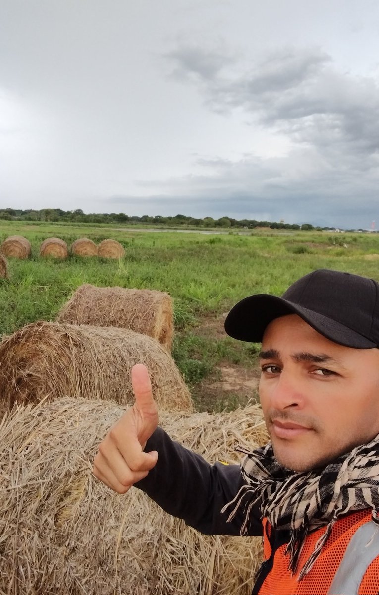 AlberCarracedo's tweet photo. Whatever you do, work willingly, as for the Lord and not for anyone else in this world, knowing that the Lord will reward you with the inheritance.  You serve Christ the Lord.

 Colossians 3: 23-24 https://t.co/uxb7wZ5kej