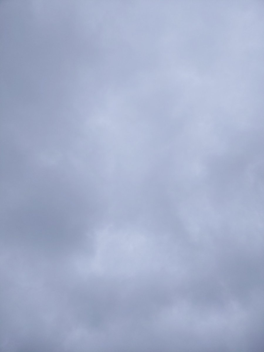 peregrinekiwi's tweet image. It was 12:06pm when the burger withdrawal kicked in...

#AlertLevel4
#BurgerWellington