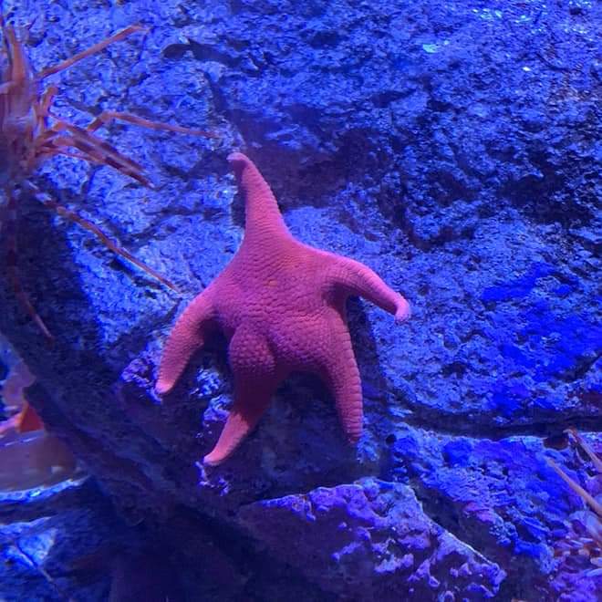 Who tf caught me lacking 😤 https://t.co/2pFVOjKX8b
