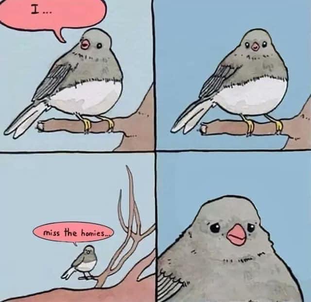 faetrouble's tweet image. 